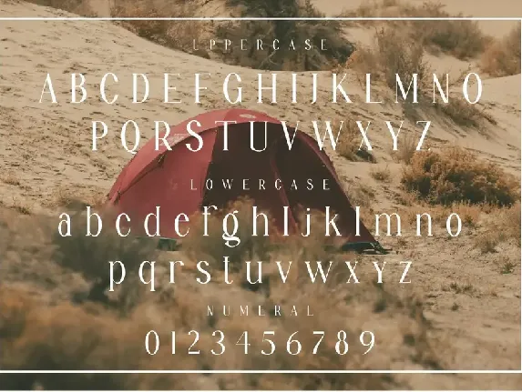 Angline Elegant Ligature Serif font