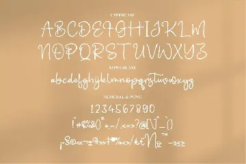 Benattia Signhale Monoline Font