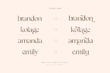 Ginkgo - Modern Classy Serif Font