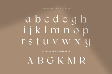 Ginkgo - Modern Classy Serif Font