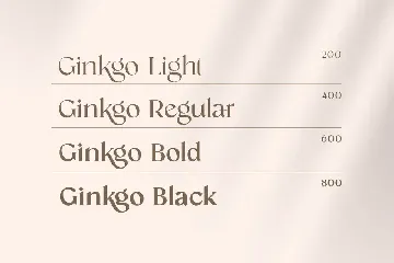 Ginkgo - Modern Classy Serif Font