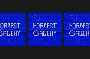 Forrest Gallery Modern Display Font