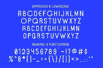 Forrest Gallery Modern Display Font