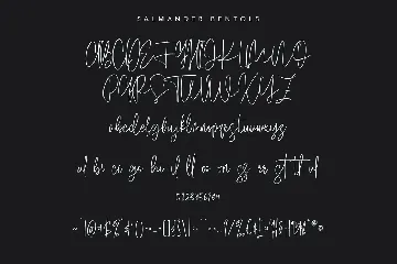 Salmander Bentols Script Signature Typeface Font