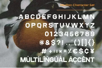 Median â€“ Modern Sans Serif font