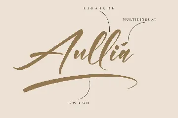 Andilanteria Signature Modern Signature Font