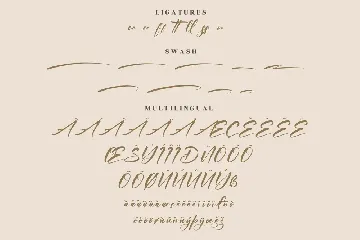 Andilanteria Signature Modern Signature Font