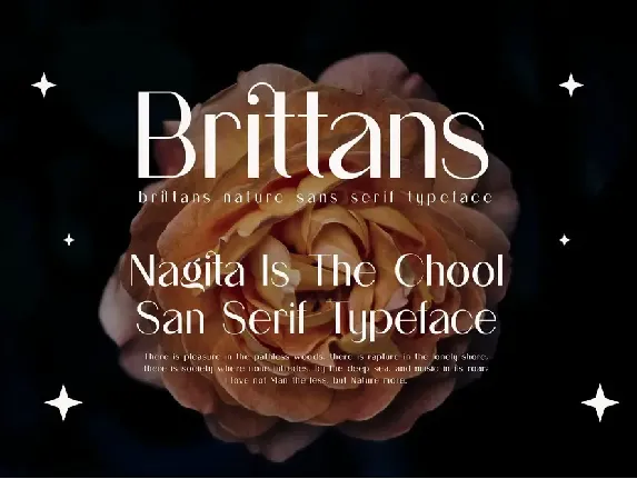 Nagita Sans Serif Font