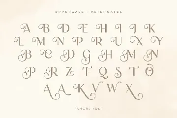 Famous - Modern Feminine Beauty Font