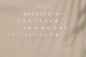 Famous - Modern Feminine Beauty Font