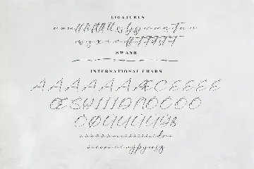 Anastasia Timothy Modern Signature Font