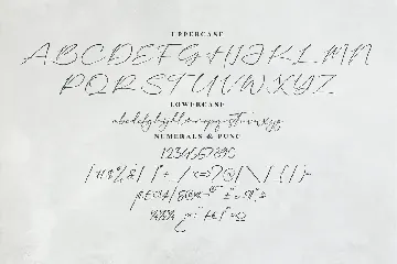 Anastasia Timothy Modern Signature Font