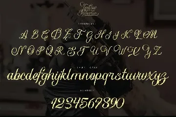 Yellow Tamarin font