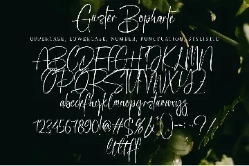 Guster Bopharte font