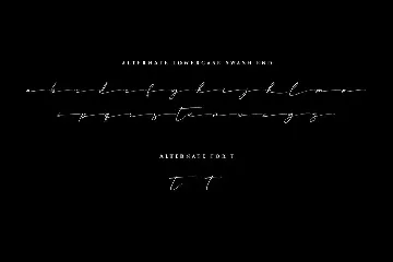 Anisther - Elegant Signature Font