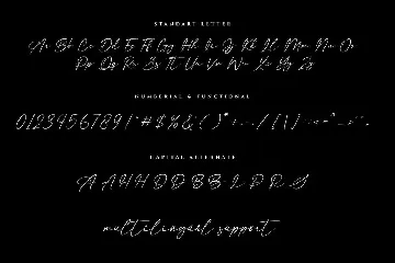 Anisther - Elegant Signature Font