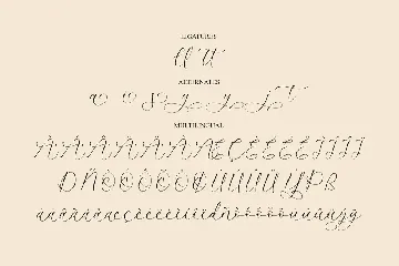 Artanyta Luxury Script Font