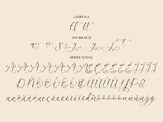 Artanyta Luxury Script Font