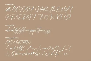 Amsterdam Signature font