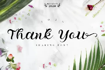 Shaking - Organic Calligraphy Font