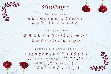 Shaking - Organic Calligraphy Font