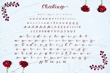 Shaking - Organic Calligraphy Font