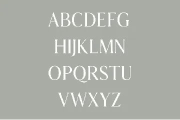 Aadam A Modern Serif Fonts Family