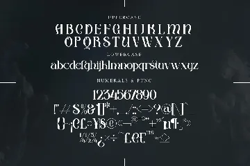 Victorah Gaerioa Stylish Serif Font