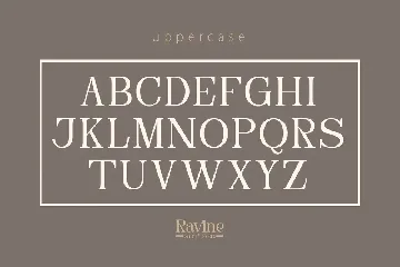 RAVINE - Modern Serif font