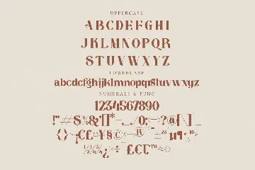 Mariana Stylish Serif Font