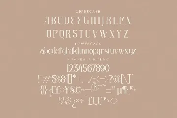 Yesterday Stylish Serif Font