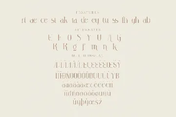 Yesterday Stylish Serif Font