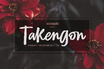 TAKENGON - Script font