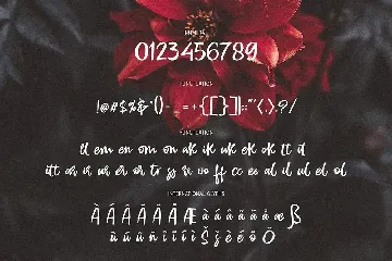 TAKENGON - Script font