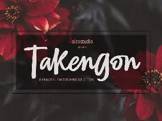 TAKENGON - Script font