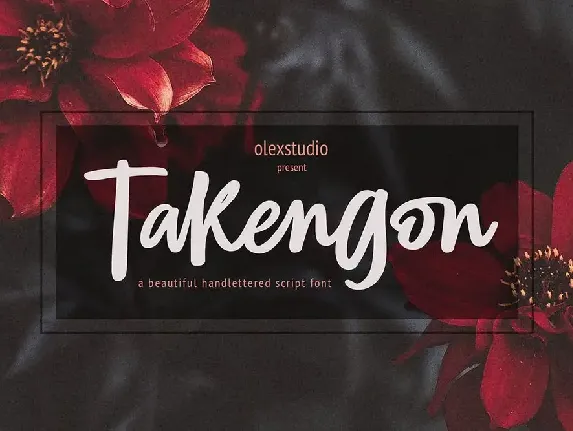 TAKENGON - Script font