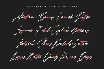 Willstand Font Duo Signature Sans Typeface