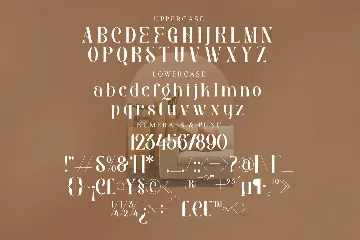 Gibroma Modern Stylish Serif Font