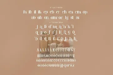 Gibroma Modern Stylish Serif Font