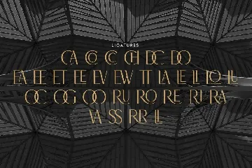 Brolachess -  Luxury Ligatures Serif font