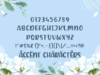 Icebold Dsiplay font