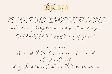 Chelsea Olivia | Font Duo