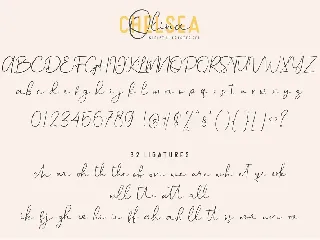 Chelsea Olivia | Font Duo