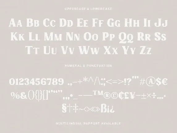 Charmist â€“ Thick And Unique Serif font