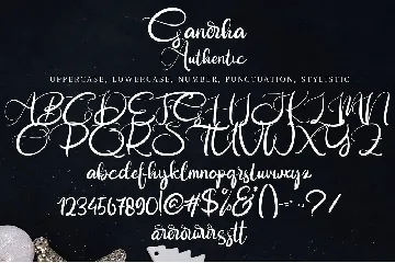 Ganerha Authentic font