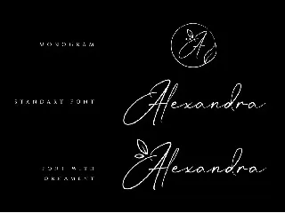 Mrs Alexandra Elegant Signature Font