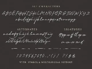 Holybuck - Signature Font Family