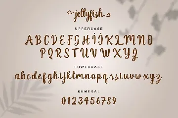 Jellyfish Script font