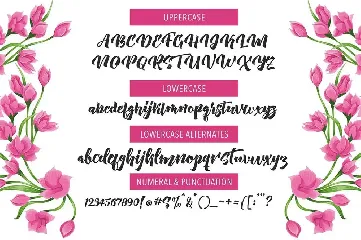 Aprillia Script font