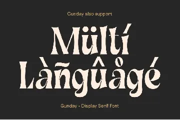 Gunday - Display Serif Font